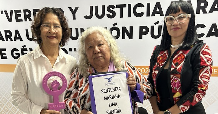 La propuesta para que la sentencia Mariana Lima sea ley en las investigaciones de las muertes violencia feminicidias.