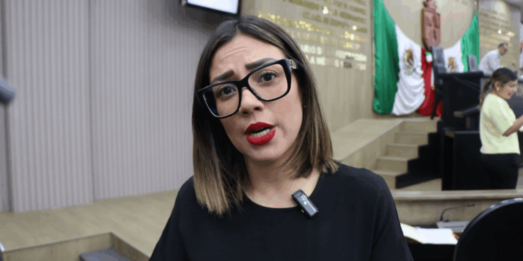 La diputada señaló que urge generar espacios libres de violencia. 