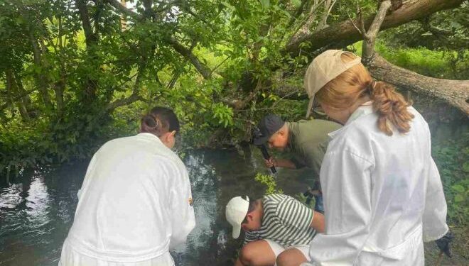  Estudiante crea sistema para monitorear agua.