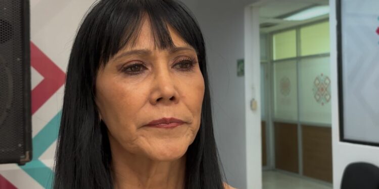  Alertas internacionales y hechos delictivos aún impactan la llegada de visitantes.