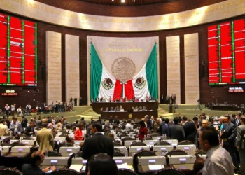 Los Pluristein de la política mexicana