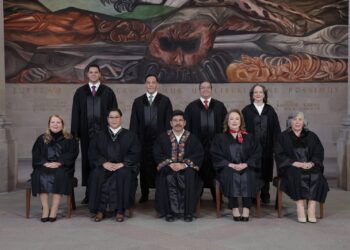 Suprema Corte y su Ministro Presidente (después de ahogado el niño, tapar el pozo)