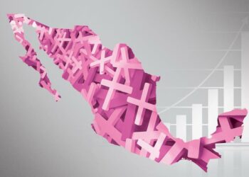 Programa para la Prevención y Detección de las Violencias Feminicidas