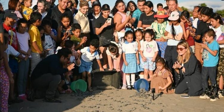 Eduardo Ramírez encabezó liberación de tortugas marinas