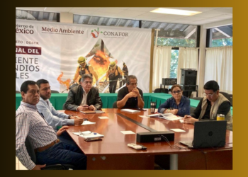 El promotor de Desarrollo Forestal en el estado, Carlos Morales Vázquez destacó que, se continúa impulsando el trabajo coordinado con organizaciones y aliados estratégicos.