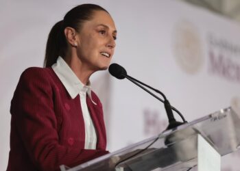 Gobierno llama a la calma tras operativo militar