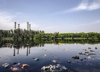 Contaminación ambiental, preocupación generalizada, lo demás es vanidad