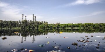 Contaminación ambiental, preocupación generalizada, lo demás es vanidad