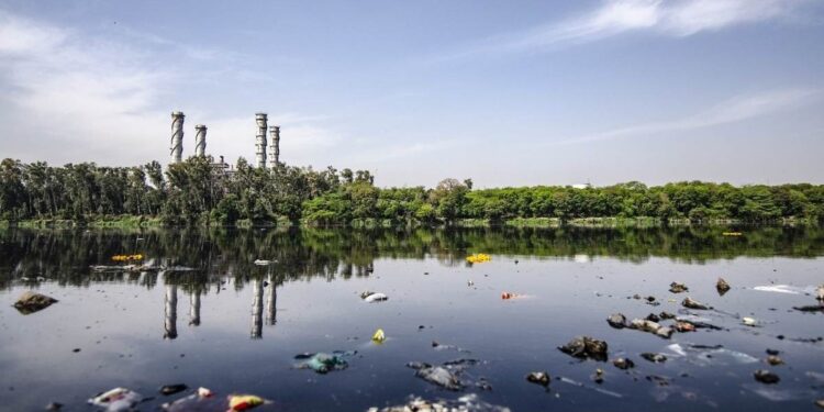 Contaminación ambiental, preocupación generalizada, lo demás es vanidad