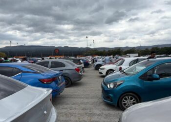 LA REBELDIA DE LOS “DIDIS”