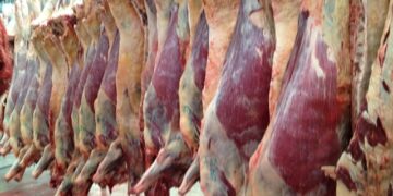 MENÚ PARA EL DESASTRE: CARNE Y CRISIS CLIMÁTICA
