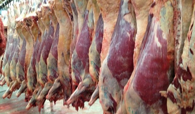 MENÚ PARA EL DESASTRE: CARNE Y CRISIS CLIMÁTICA