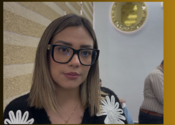 La legisladora señaló que se buscan incentivos que faciliten la transición a la formalidad, especialmente para pequeños negocios.