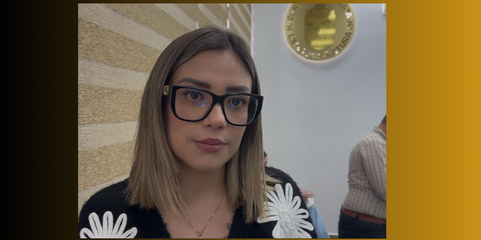 La legisladora señaló que se buscan incentivos que faciliten la transición a la formalidad, especialmente para pequeños negocios.