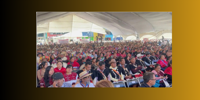 LA CORTE: MÁS ALLÁ DEL ESPECTÁCULO