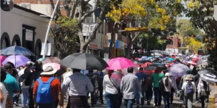 El Pulso del Magisterio: ¿Qué hay detrás del Paro Nacional de la CNTE?