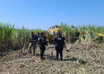 Aeronave agrícola se desploma en predio de caña