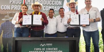 CRÉDITOS AL CAMPO. Chiapas crea fondo para productores