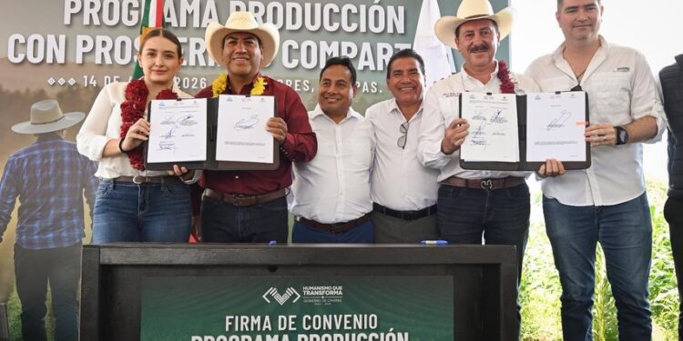 CRÉDITOS AL CAMPO. Chiapas crea fondo para productores