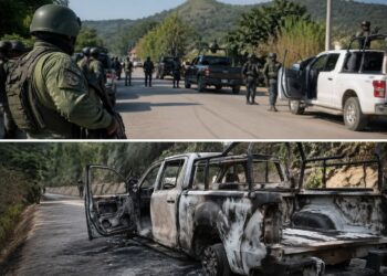 Seguridad sin pausa