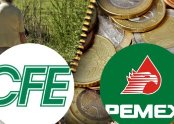 Las razones de la inconformidad según CFE, PEMEX Y OTRAS