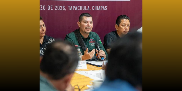 SEGURIDAD: FUERZA CON ESTRATEGIA