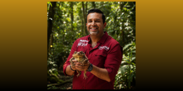 EL SAPO Y LA LUCIÉRNAGA