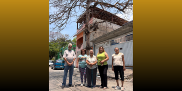 AYUNTAMIENTO OMISO. Denuncian desatención del municipio para retirar árbol seco