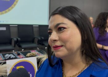 TEECH. Sin denuncias por campañas anticipadas