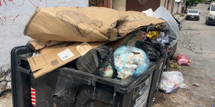 VECINOS DENUNCIAN ABANDONO. Patria Nueva, entre basura y fugas de agua