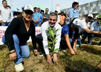 Promueve Yamil Melgar reforestación con especies nativas en Tapachula