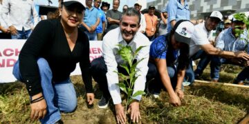 Promueve Yamil Melgar reforestación con especies nativas en Tapachula