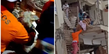 Conmueven rescates de perros que sobrevivieron días entre los escombros en Venezuela