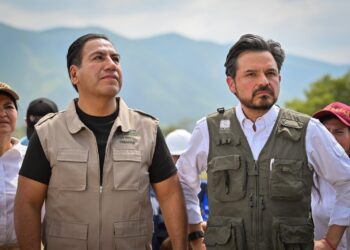 Zoé ha vuelto