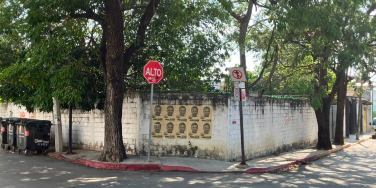 Melgar: ¿Más apoyos para ti?