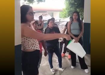 ¿En qué momento educar se volvió un crimen?